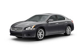 2009  Maxima