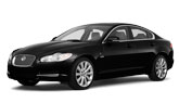  XF