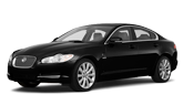  XF