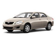  Corolla