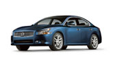 2010  Maxima
